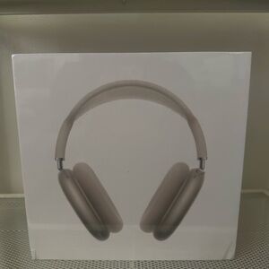 Apple Over-Ear Headphones - Silver and Gray
